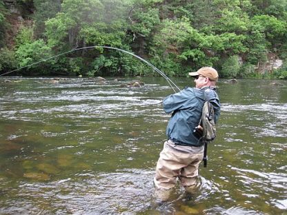 Playing a trout on a fly fishing line